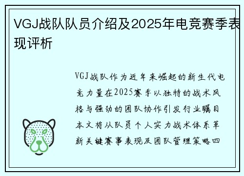 VGJ战队队员介绍及2025年电竞赛季表现评析